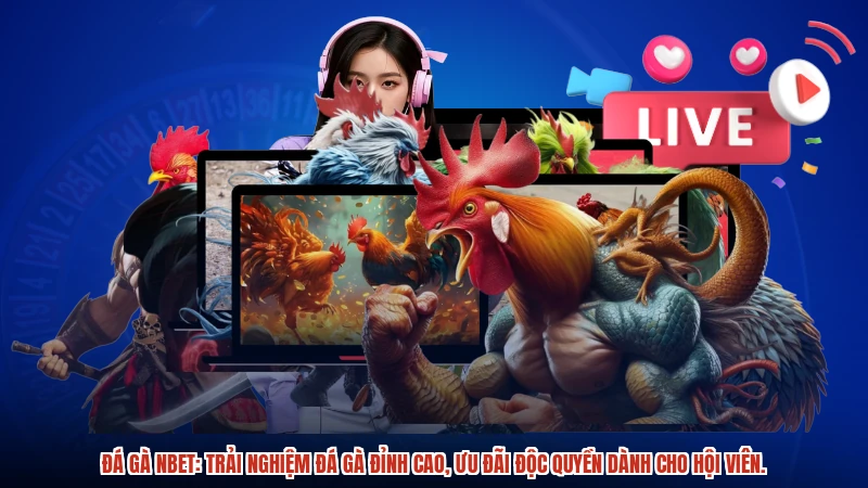 Đá gà NBET: Trải nghiệm đá gà đỉnh cao, ưu đãi độc quyền dành cho hội viên.
