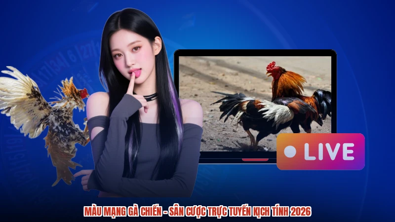Màu Mạng Gà Chiến - Sân Cược Trực Tuyến Kịch Tính 2026